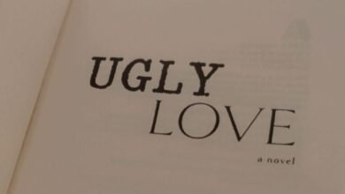Ugly Love Summary