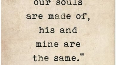 Whatever Our Souls are Made of