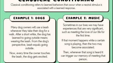 Examples of Classical Conditioning in Everyday Life