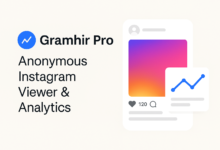 Gramhir Pro anonymous Instagram viewer and analytics tool