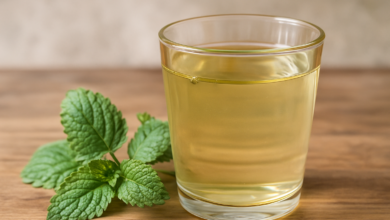 Lemon Balm Drink: Benefits, Proven Recipes, and Safe Use Glass of lemon balm drink with fresh leaves