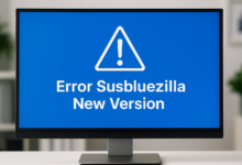 software error troubleshooting screen